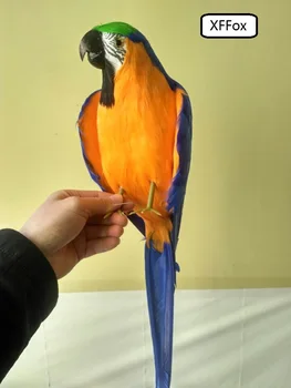 didelis realiame gyvenime, mėlynos ir oranžinės spalvos papūga modelis putų&plunksnų modeliavimas mažai sparnus papūga paukštis dovana apie 45cm xf0173